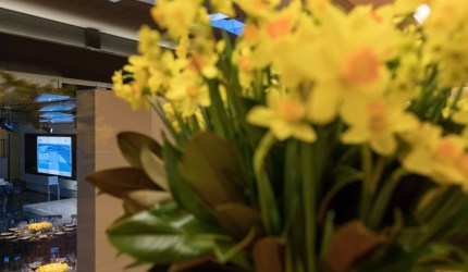 color-inspiration-primrose-yellow