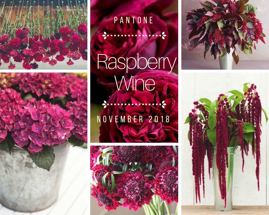 color-inspiration-raspberry-wine-fiori