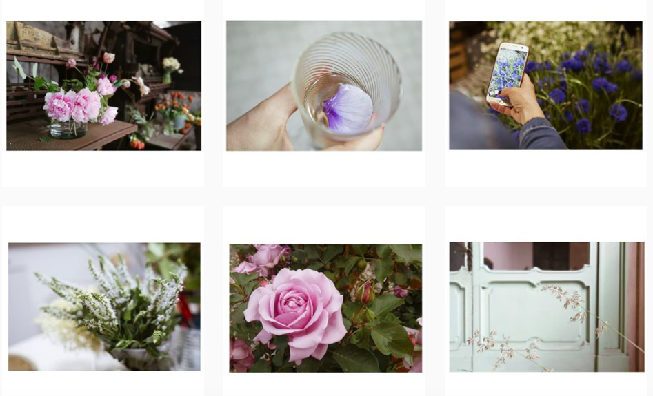 pianificare post instagram - flowerista