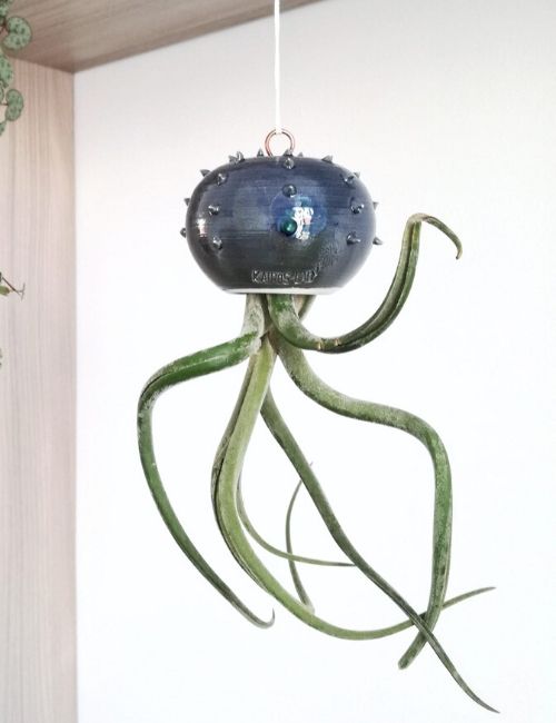 cactopus vaso-karios lab-boutique flowerista